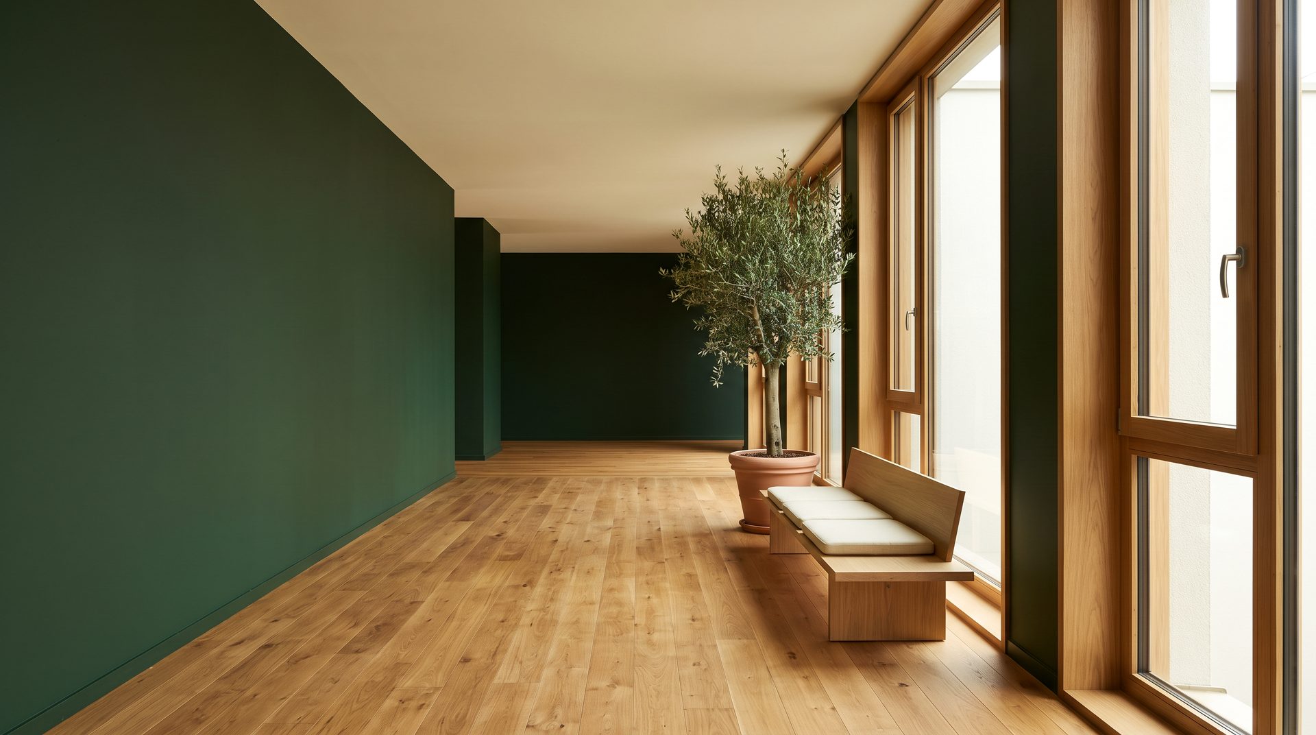 A wide workplace corridor with a deep green wall, oak flooring and planting.